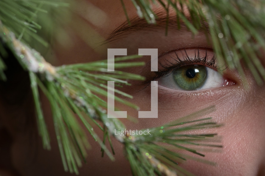 eyes of a woman looking through pine branches 