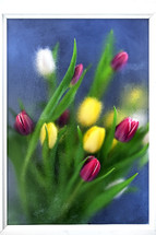 Abstract Colorful tulips Through Blurred Glass in frame