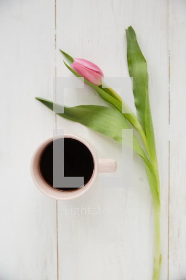 a tulip and coffee mug 
