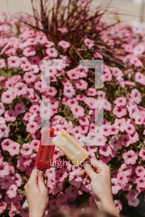 hands holding up popsicles in front of flowers 