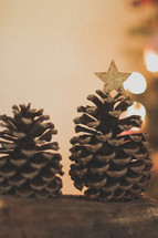 pinecone with star