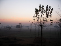 morning fog over farmland 