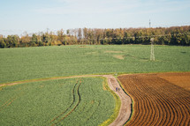 Rural farm field with electrical wires and telephone poles