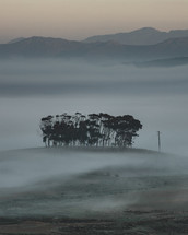 dense fog over farmland hills 