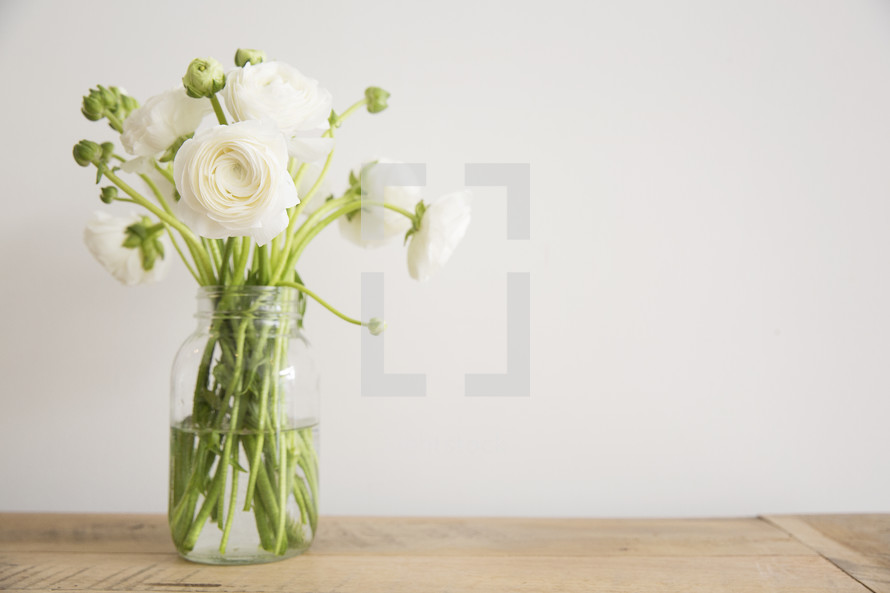 white flowers in a vase on a table 