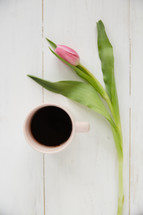 a tulip and coffee mug 