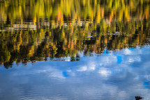 reflection of fall trees on pond water background 