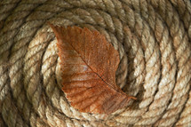 Brown leaf with beads of water on twine rope