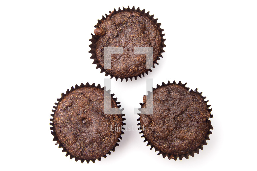 Whole Wheat Double Chocolate Chip Muffins