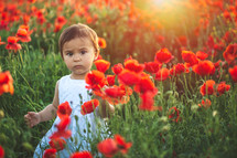 a girl playing in a field of poppies 