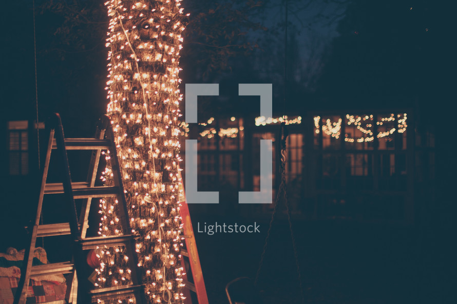 A ladder next to a tree covered in white Christmas lights, at night.