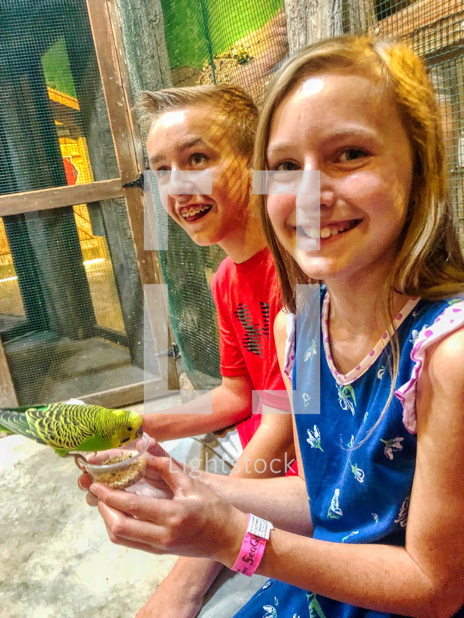 Children feeding parakeets 