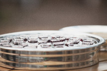 communion cups in a tray 