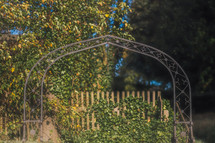 Arch in garden with ivy covered fence