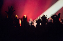 raised hands of audience members at a concert 