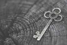 Silver key on a tree stump.