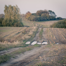 worn path on a dirt road 