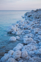 coral and salt along a shore 