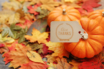 give thanks note on fall leaves 