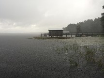 pier over a marsh in the rain 