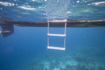 underwater view of a ladder from a boat