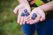 boy holding blueberries 