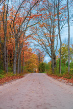 country road lined by fall trees 