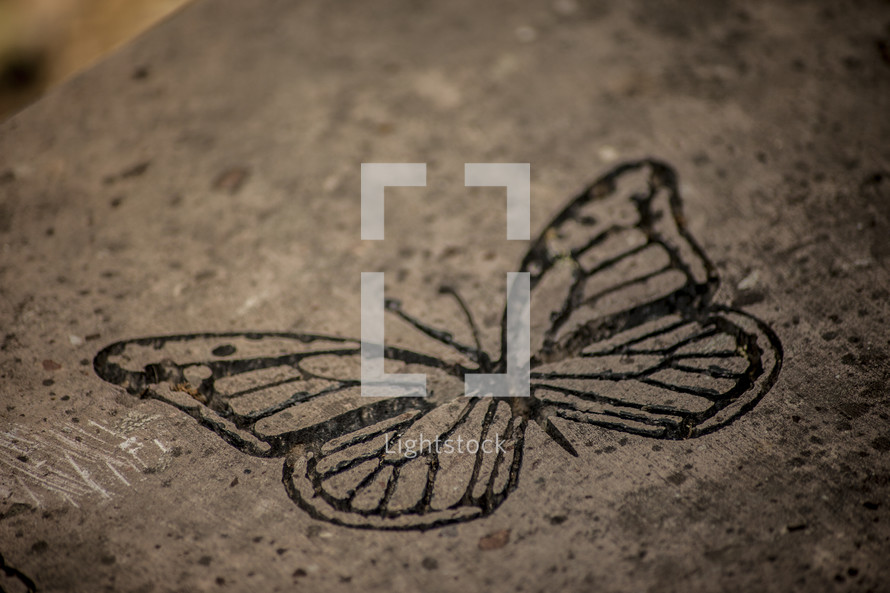 stamped butterfly on concrete 