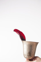 splashing red wine in a chalice