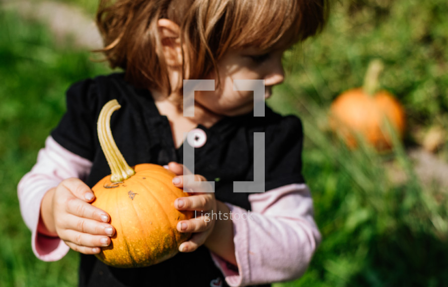 toddler girl holding a pumpkin 