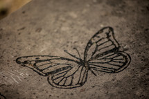 stamped butterfly on concrete 