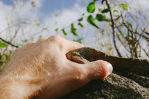 hand reaching to grab hold of a rock