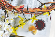 crown of thorns, spring blossoms, and communion elements on the pages of a Bible 