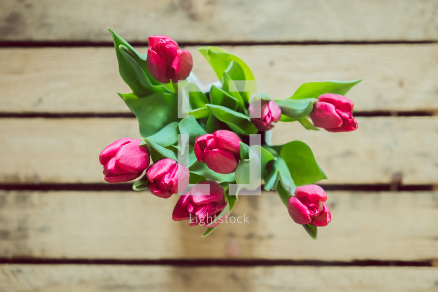 pink tulips on a wood table 