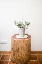 vase on a wood stump table 