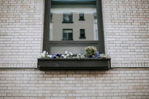 a flower box in a window 
