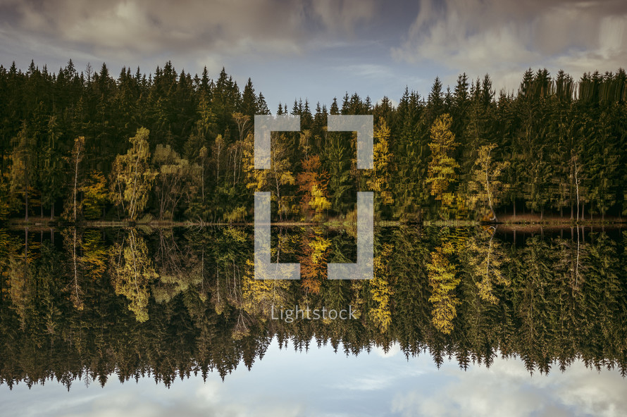 fall tree reflecting on lake water 