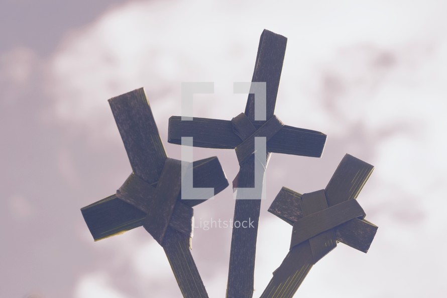 silhouettes of three palm crosses against the sky 