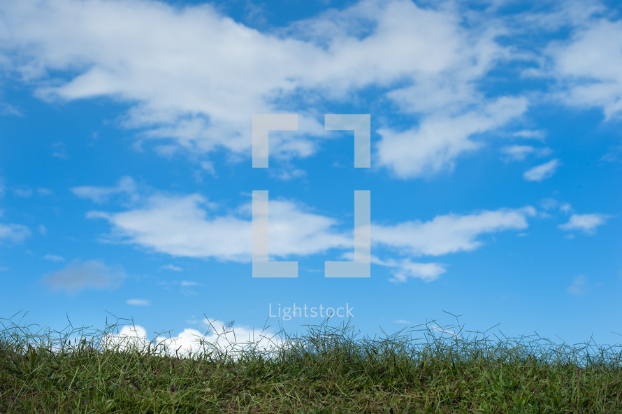 Grass and a cloudy blue sky.