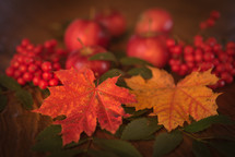 apples, red berries, and fall leaves on a wood table 