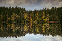 fall tree reflecting on lake water 