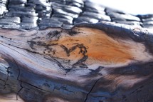 heart drawn on a log 