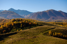 autumn trees in a valley 