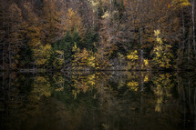 reflection of autumn trees on lake water 