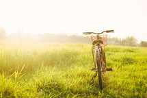 bicycle in a green meadow 