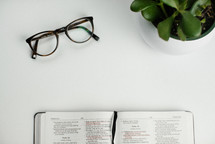 reading glasses, open Bible, and house plant on a white desk 