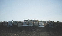beach houses on a hillside 