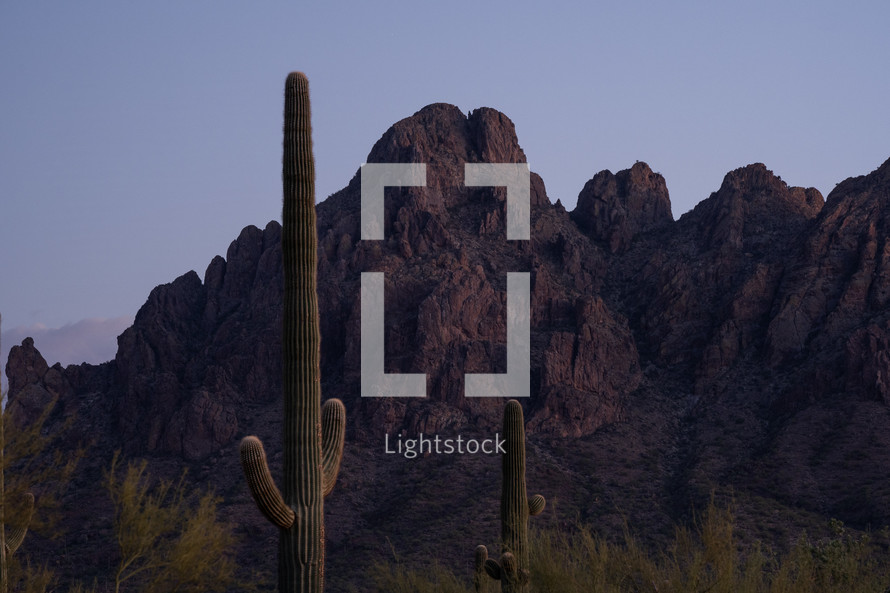 Jagged desert mountains with Saguaro cactus at dusk