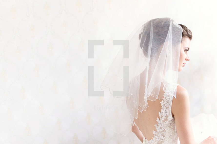 A bride wearing her wedding veil. 