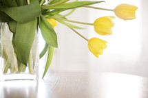 tulips in a vase on a table 